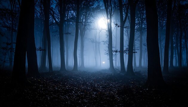 Fototapeta Misty, moonlit forest at night