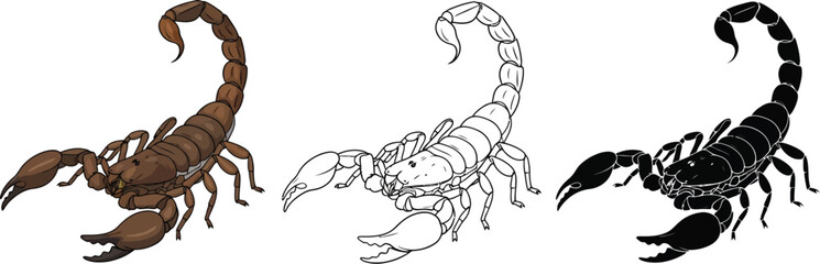 Scorpion illustration vector art with color outline and silhouette versions design
