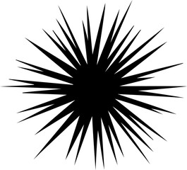 Fototapeta premium abstract black starburst vector graphic shape