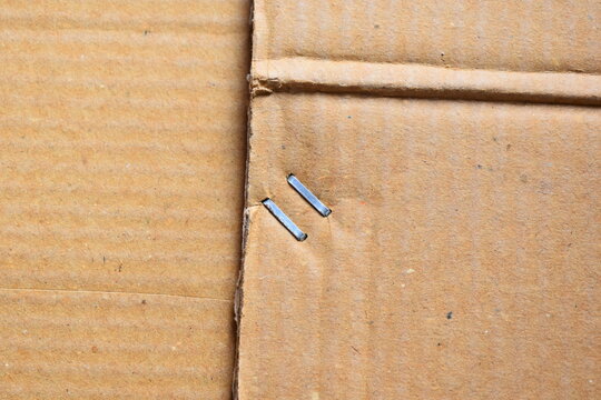 Metal staple on brown cardboard