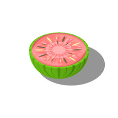 Abstract Isometric Food Fruit Watermelon 3D Object Kitchen Design Element Vector Design