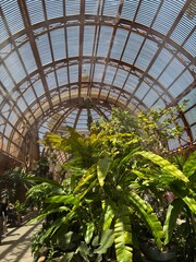 greenhouse with plants