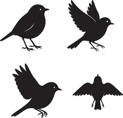 Robin Silhouette in Black and White  Isolated Bird Vectors in Natural Poses, Sparrow Silhouette in Black and White Isolated Vector Bird in Natural Poses