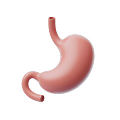 Human stomach anatomy detailed illustration in vector design isolated on black background