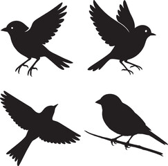 Sparrow Silhouette in Black and White  Isolated Vector Bird in Natural Poses, Robin Silhouette in Black and White  Isolated Bird Vectors in Natural Poses