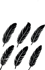 Big set of bird feathers design. soft bird plumage set. Pen icons design. set of bird feathers design, Vector Illustration !