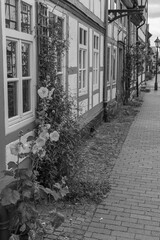 die Altstadt von Hildesheim