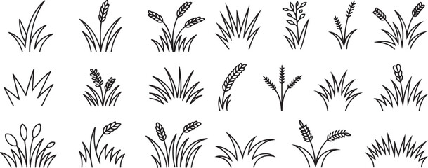 Set of black and white line art grass and wheat icons
