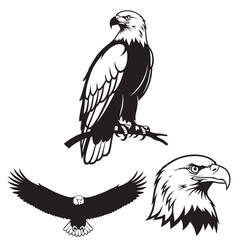 Set of 3 Bald Eagle Silhouettes as Bird of Prey Vector Icons