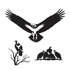 Set of 3 Vulture Silhouettes as Soaring Bird Vector Icons