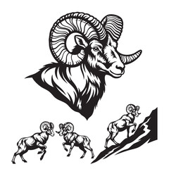 Set of 3 Bighorn Sheep Silhouettes as Rocky Mountain Animal Icons