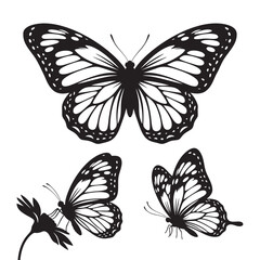 Set of 3 Butterfly Silhouettes as Elegant Insect Vector Icons