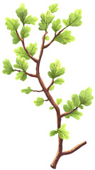 Obraz premium Isolated transparent A vibrant green branch showcasing fresh leaves against a simple background. PNG die-cut element for advertising