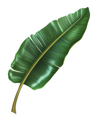 Isolated transparent A vibrant green leaf showcasing the beauty of nature and its intricate details. PNG die-cut element for advertising