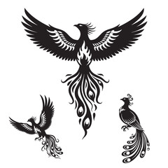 Obraz premium Set of 3 Phoenix Silhouettes as a Rebirth and Fire Bird Icon Set