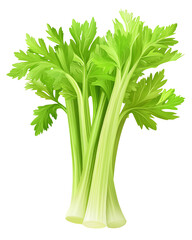 Isolated transparent Fresh celery stalks perfect for healthy recipes and culinary presentation. PNG die-cut element for advertising