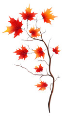 Isolated transparent Vibrant autumn leaves showcase warm colors on a delicate branch. PNG die-cut element for advertising