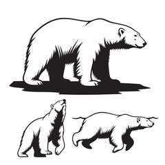 Set of 3 Polar Bear Silhouettes as an Arctic Predator Icon Set