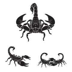 Set of 3 Scorpion Silhouettes as a Desert Arachnid Vector Set