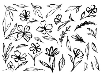 Flower doodle hand drawn line stroke. Sketch hand drawn spring floral plant, nature graphic leaf, scribble grunge brush texture. Vector simple flower, leaf brush stroke. Vector illustration