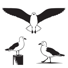Set of 3 Seagull Silhouettes as a Seabird Vector Icon Set