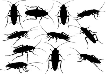 A collection of cockroach silhouettes in various poses against a white background showing infestation