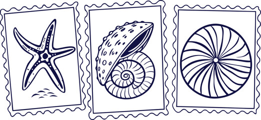 Seashells in Postage Stamp Style Illustration on Transparent Background
