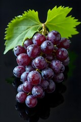 Fototapeta premium black currant berries