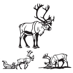 Set of 3 Reindeer Silhouettes as an Arctic Deer Icon Set