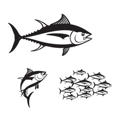 Set of 3 Tuna Silhouettes as a Saltwater Fish Vector Set