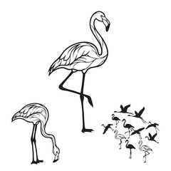 Set of 3 Flamingo Silhouettes as a Tropical Wading Bird Set