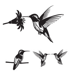 Set of 3 Hummingbird Silhouettes as a Tiny Hovering Bird Set