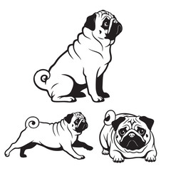 Set of 3 Pug Silhouettes as a Wrinkly Dog Breed Icon Set