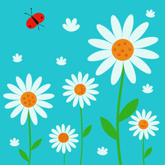 seamless pattern with daisies