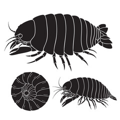 Set of 3 Giant Isopod Silhouettes as a Deep Sea Crustacean Set