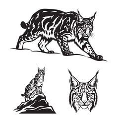 Set of 3 Lynx Silhouettes as a Cold Climate Wildcat Icon Set