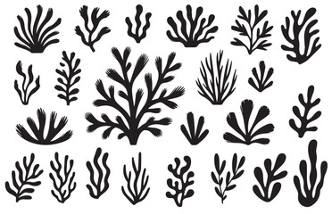 Coral reef or seaweeds vector underwater plant icons. Naive style leaves, algae or fronds. Hand drawn vector ink illustration. Modern style organic corals, aesthetic underwater plants and branches