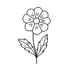 Doodle vector flower contour symbol isolated on a transparent background