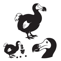 Set of 3 Dodo Bird Silhouettes as an Extinct Animal Icon Set © MAHEDI
