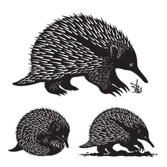 Set of 3 Echidna Silhouettes as a Spiny Monotreme Vector Set