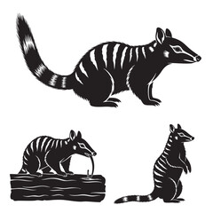 Set of 3 Numbat Silhouettes as a Banded Anteater Marsupial Set