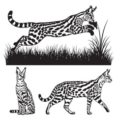 Set of 3 Serval Silhouettes as a Long Legged African Wildcat Set