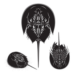 Set of 3 Horseshoe Crab Silhouettes as a Living Fossil Icon Set © MAHEDI