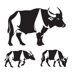 Obraz premium Set of 3 Tamaraw Silhouettes as a Dwarf Buffalo Vector Set