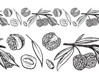 Seamless border with with lychee fruits in black brush stroke texture isolated on white background. Hand drawn vector sketch illustration in vintage charcoal ink. Package design, Litchi chinensis