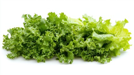 Fresh Green Lettuce Leaves for Healthy Cooking and Salads
