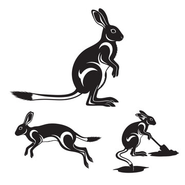 Set of 3 Springhare Silhouettes as a Hopping Rodent Vector Set
