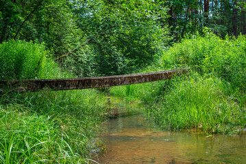A concrete footbridge spans a river in a lush green forest. The bridge is old and weathered, but it still stands strong