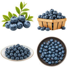 Fresh blueberries displayed in basket, plate, and bowl with leaves. Set isolated on transparent background   