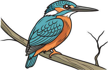 Realistic kingfisher bird design with vivid colors and detailed feathers.High quality kingfisher bird illustration showing natural textures and posture. Detailed lifelike kingfisher bird artwork with